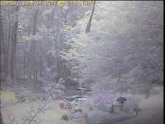 Webcam Foster, Rhode Island