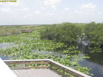 Webcam Everglades National Park, Florida