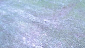 Webcam Monticello, Arkansas
