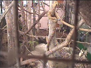 Webcam Montpellier