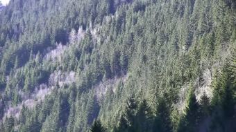 Webcam Les Contamines-Montjoie
