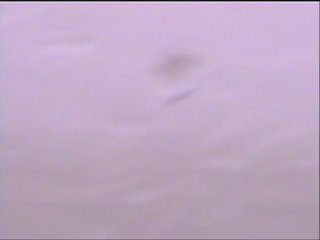Webcam Saint-Trojan-les-Bains