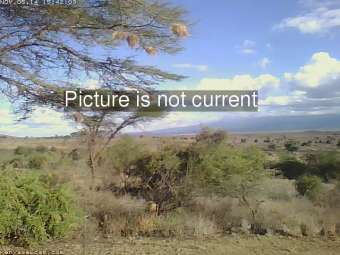 Webcam Amboseli