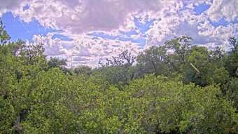 Webcam Metairie, Louisiana
