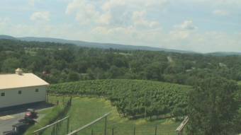 Webcam Delaplane, Virginia