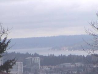 Webcam Bellevue, Washington