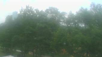 Webcam Bell Buckle, Tennessee