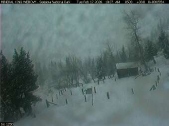 Webcam Mineral King, California