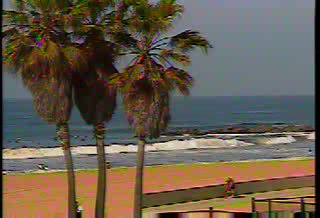 Webcam Venice Beach, Kalifornien