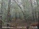 Webcam Stephens City, Virginia