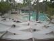 Webcam Bayahibe