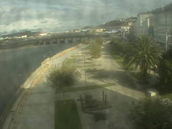 Webcam Viveiro