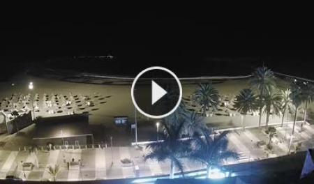 misil autoridad tornillo Playa de las Americas (Tenerife) - Webcam Galore
