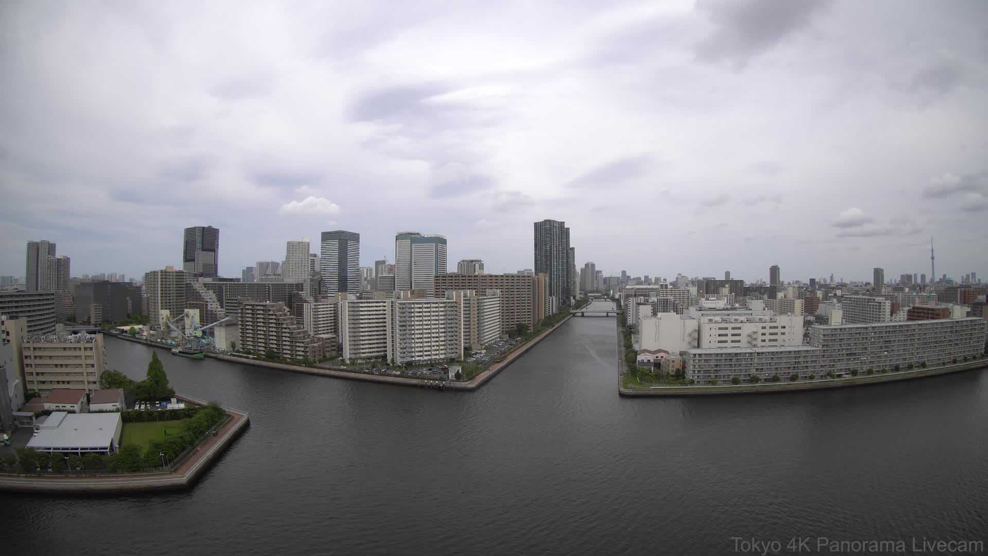 Tokio Webcam