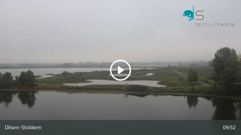Dilsen Webcam Dilsen-Stokkem: Visitor Center De Wissen - Webcam Galore