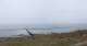 Nebel (Amrum) Do. 15.1.