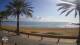 Playa de Palma (Mallorca) Sa. 24.1.
