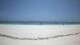 Diani Beach Sa. 31.1.