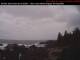 Ucluelet Do. 26.2.