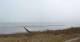 Nebel (Amrum) Sa. 28.2.