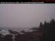 Ucluelet Di. 3.3.