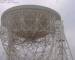 Jodrell Bank Observatory Sa. 7.3.