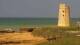 El Palmar de Vejer Di. 24.3.