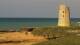 El Palmar de Vejer Mi. 25.3.