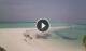 Kuredu Island (Lhaviyani-Atoll) Di. 31.3.