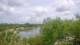 Lakewood Ranch, Florida Mo. 6.4.