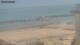 Torre Pedrera Di. 7.4.