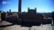 Siena Di. 7.4.