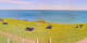 Donville-les-Bains Di. 7.4.