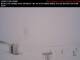 Yorkton Mi. 8.4.