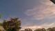 Carrum Mi. 8.4.