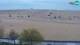 Bibione Mi. 8.4.