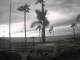 Nerja Mi. 8.4.