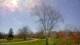 Harriman, New York Mi. 8.4.