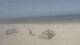 Bredene Do. 9.4.