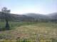 Cantalupo Ligure Do. 9.4.