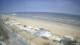 Senigallia Do. 9.4.