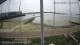 Brightlingsea Do. 9.4.