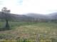 Cantalupo Ligure Fr. 10.4.
