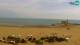 Caorle Fr. 10.4.
