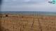 Bibione Fr. 10.4.