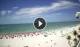 Fort Myers Beach, Florida Sa. 11.4.