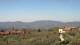 Pietrapiana Sa. 11.4.