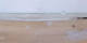 Saint-Pair-Sur-Mer Sa. 11.4.