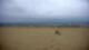Berck-sur-Mer Sa. 11.4.
