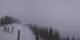 Enumclaw, Washington Sa. 11.4.